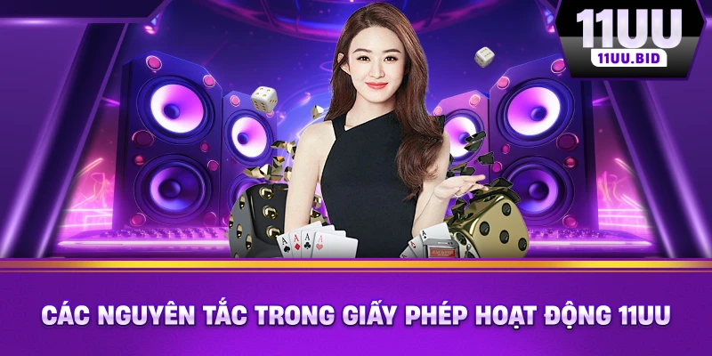 Các nguyên tắc trong Giấy phép hoạt động 11UU